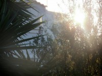 /album/photogallery/a10269592-677876342271760-2218000234020255469-n-jpg/
